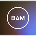 BAM Strategy logo