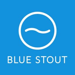 BlueStout.com - Ecommerce Experts logo