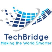 TechBridge Consultancy Services logo