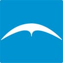 Capital Insurance Group logo