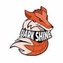 DarkShine Media logo