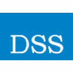 Decision Support Systems Pte Ltd logo