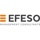 EFESO Management Consultants logo