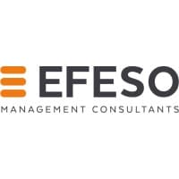 EFESO Management Consultants logo