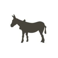 Entermotion Design Studio logo