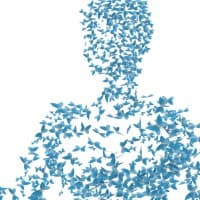 ISR Division Systems, LLC logo