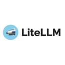 LiteLLM AI Gateway logo
