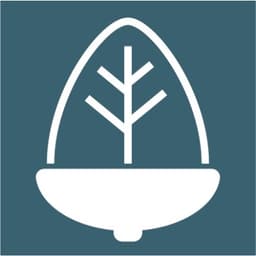 Mighty Acorn Digital logo