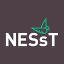NESsT logo
