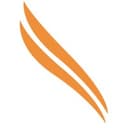 Phoenix Cyber logo