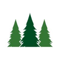 Pine Services Group logo