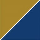 Precision Medicine Group logo