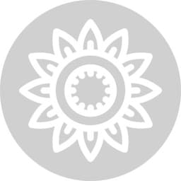 Soho Integrative EMDR logo