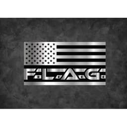 FLAG Solutions LLC logo