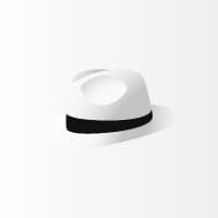 White Hat Gaming logo
