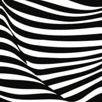 zebra | group GmbH logo