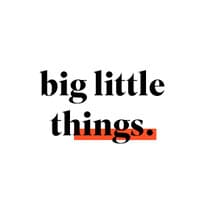 big little things logo