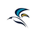 Bird's Eye Medical logo