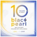 Black Pearl Consult logo