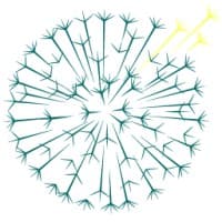 Dandelion Health logo