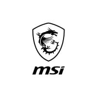 MSI logo