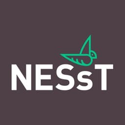 NESsT logo