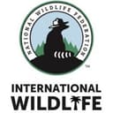 NWF International logo