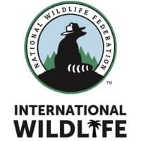 NWF International logo