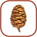 Sequoia Ecological Consulting logo