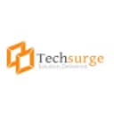 TechSurge Private Limited logo