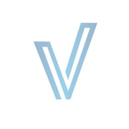 Vector Outsourcing Solutions Philippines logo