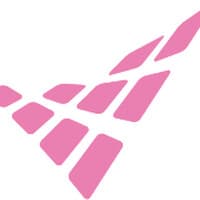 Vector Solutions logo