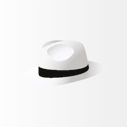 White Hat Gaming logo